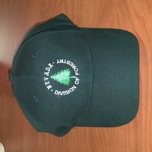 Nevada Division Of Forestry Green Yellow Snapback Hat